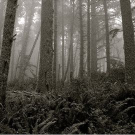 The Flow of Changing Light